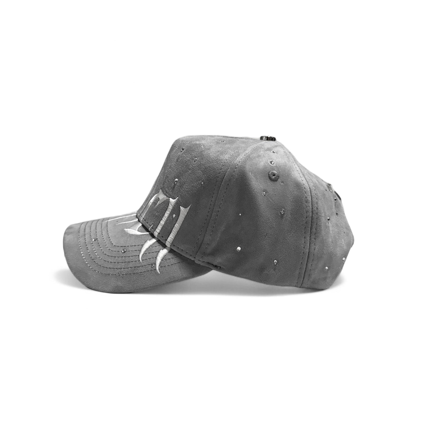 VLNCII ANNIVERSARY CAP